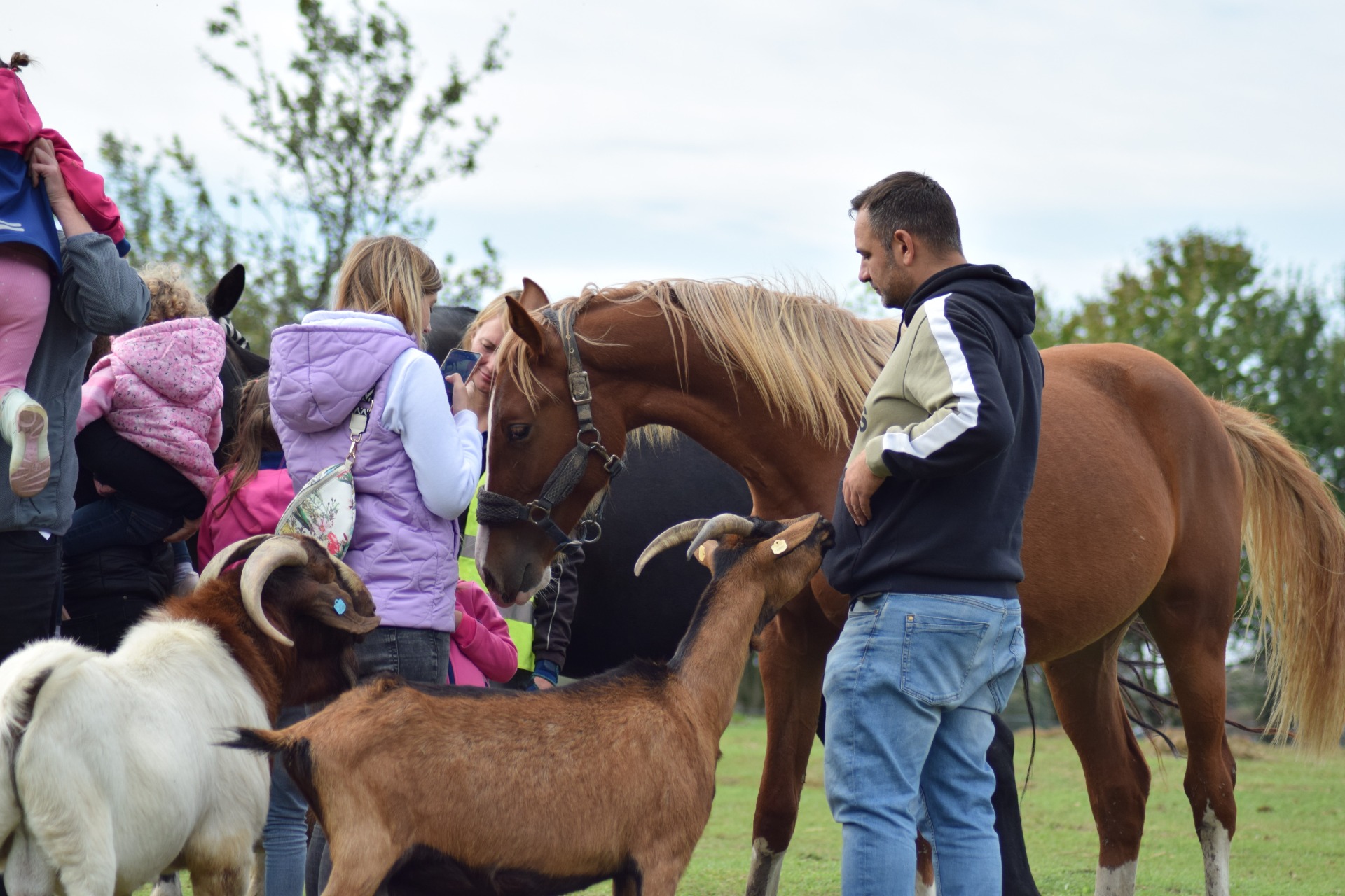 Zvířátkování 28.9.2025