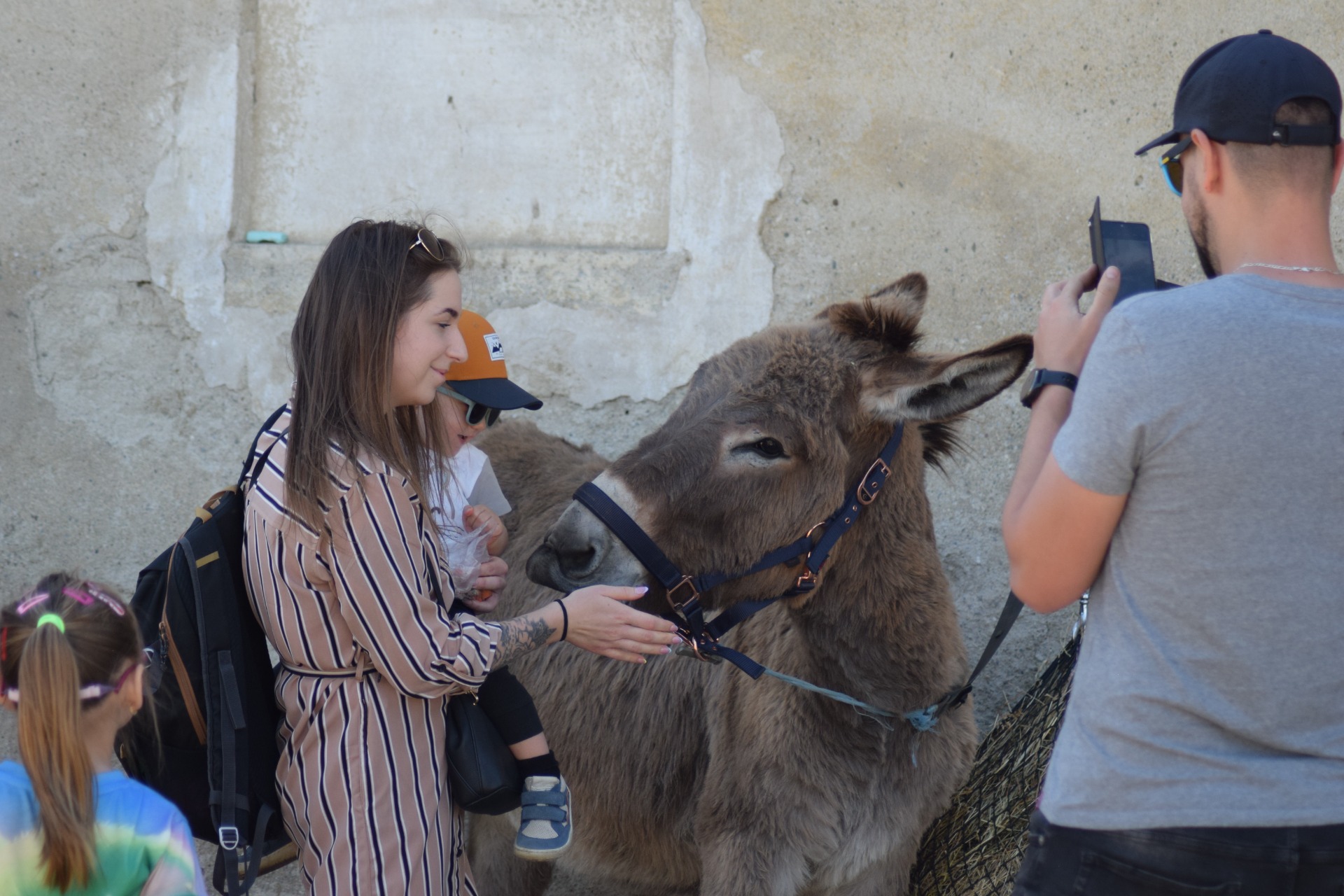 Zvířátkování 1.5.2024